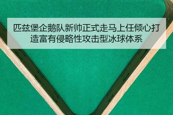 匹兹堡企鹅队新帅正式走马上任倾心打造富有侵略性攻击型冰球体系