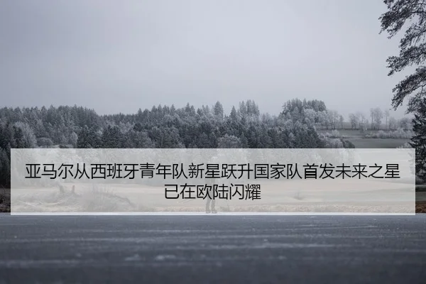 亚马尔从西班牙青年队新星跃升国家队首发未来之星已在欧陆闪耀